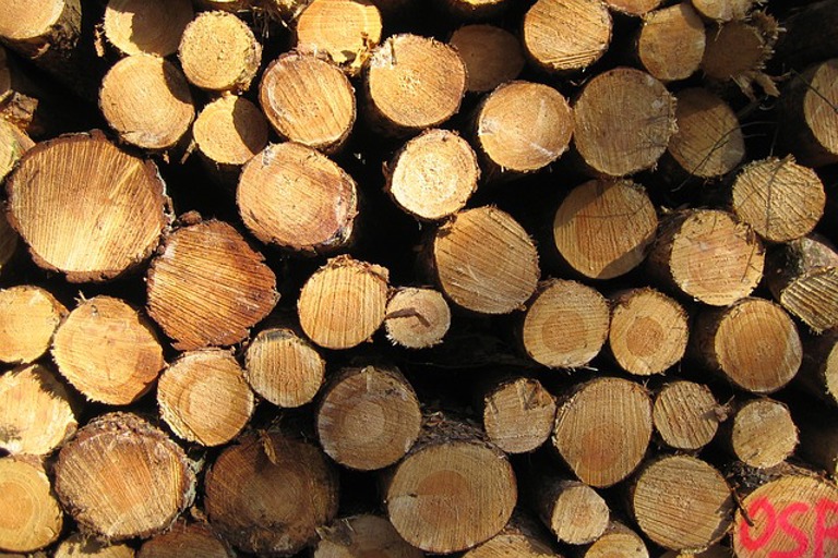 Wood 525901 640