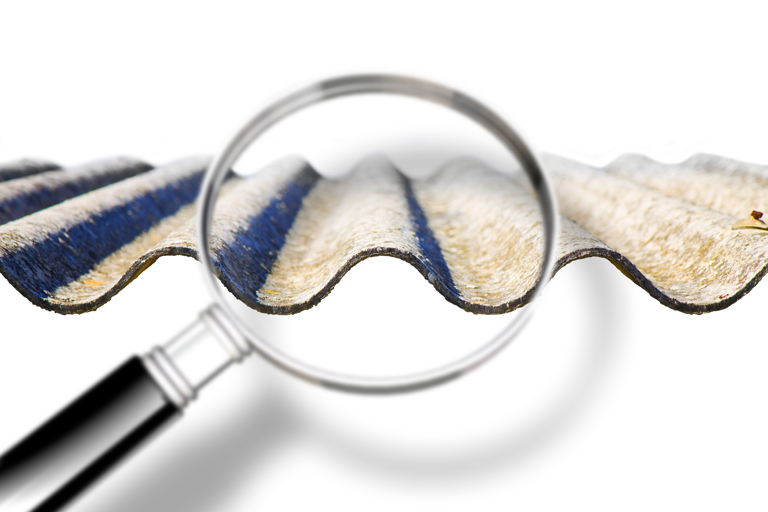 Shutterstock 1149861950