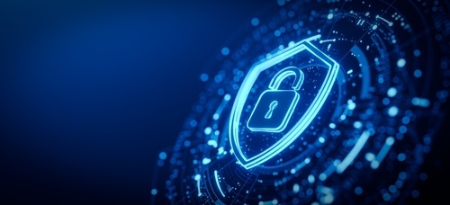 Shutterstock Fraude Artikel