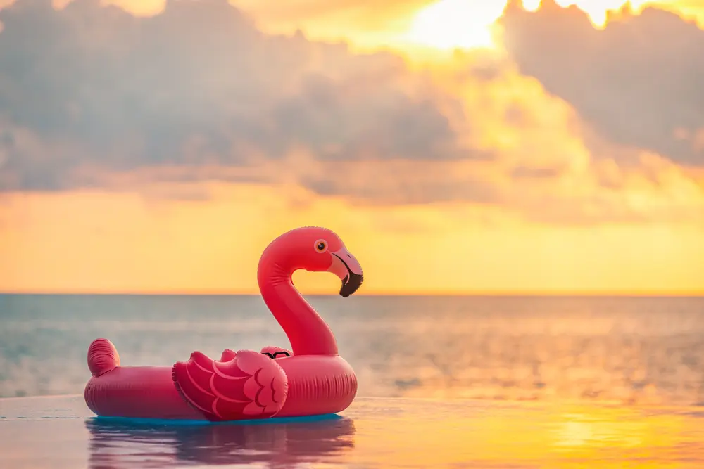 Flamingo zon
